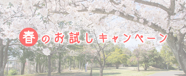 ホームページ制作｜春のお試しキャンペーン